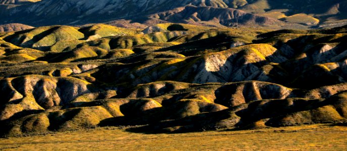 PADRONNES SPRINGS ROAD AREA, Carrizo National Monument, San Luis Obispo Co, CA (4-9-2019)