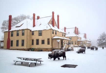 A snowy morning in Mammoth.