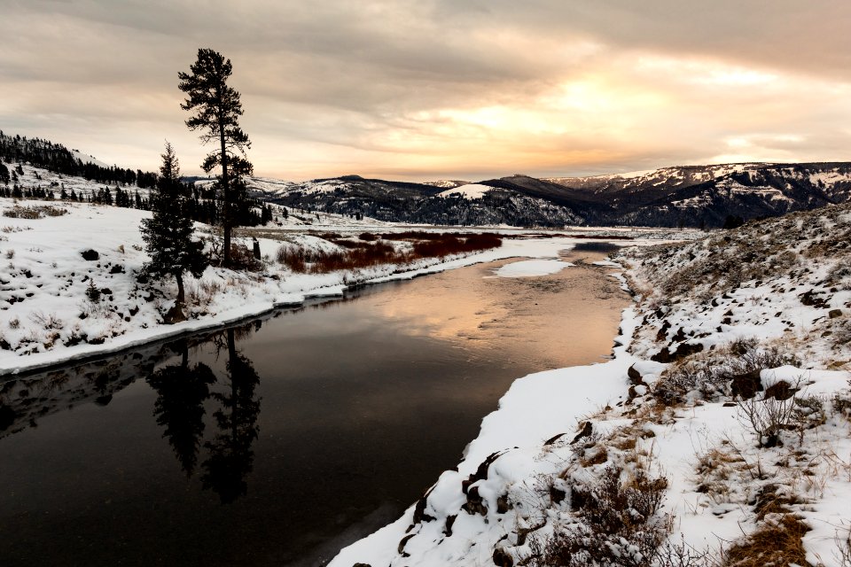 Winter sunrise over Soda Butte Creek facing south photo