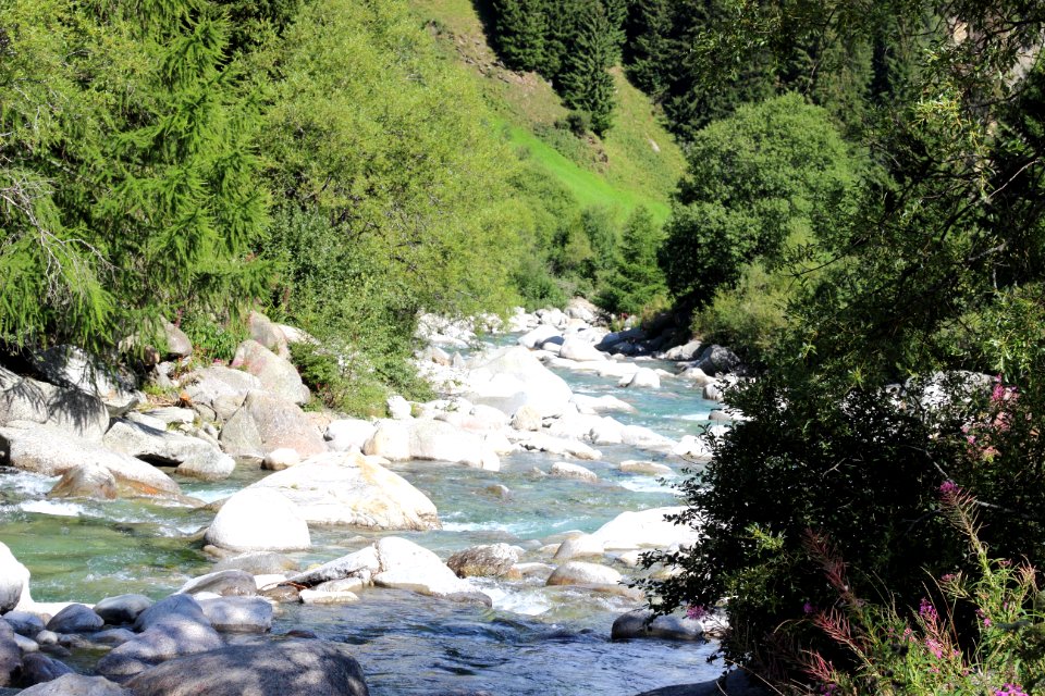 Wildbach 2  IMG 1622