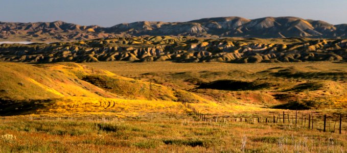 PADRONNES SPRINGS ROAD AREA, Carrizo Plain National Monument, San Luis Obispo Co, CA (4-9-2019) -52