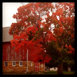 Submitted by Sally Heins