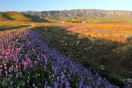 WASHBURN RANCH (4-24-10) carrizo plain nat mon -01