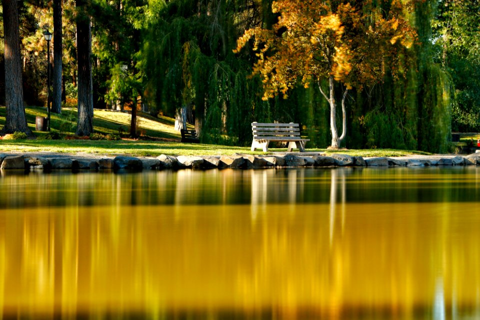 Japanese Gardens and Manito park in Spokane, WA