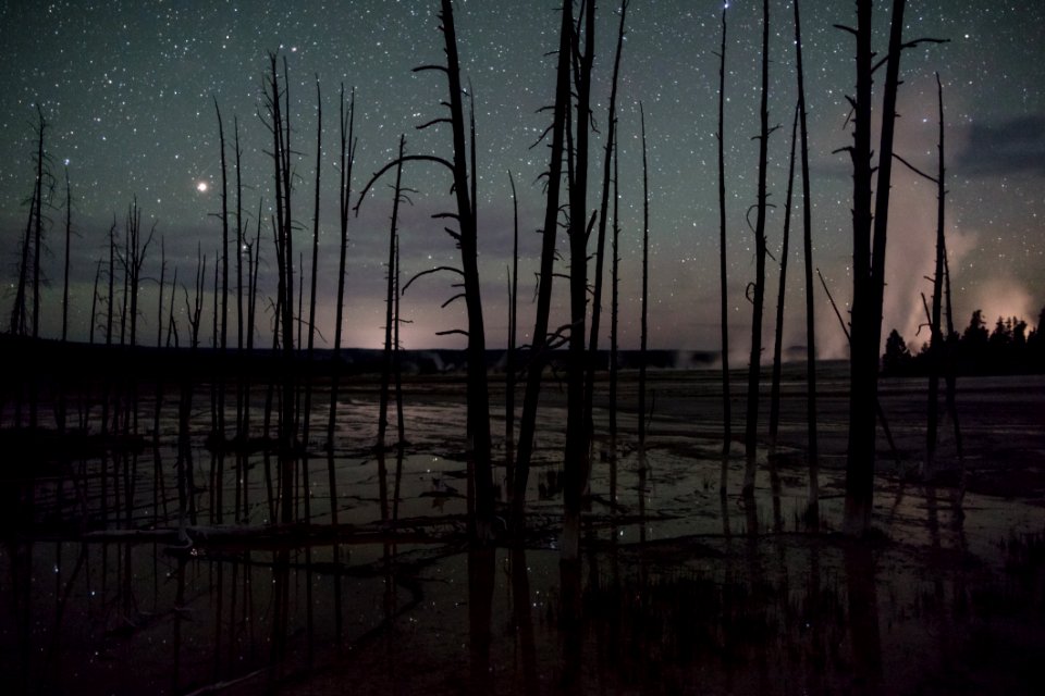 Night sky and Bobby Socks trees at Fountain Paint Pots