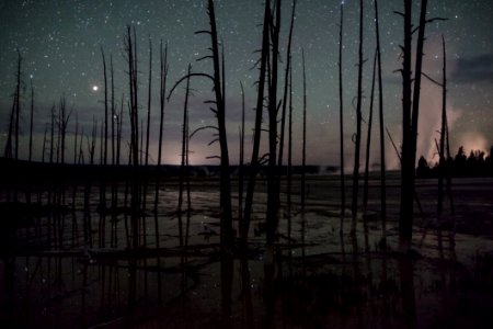 Night sky and Bobby Socks trees at Fountain Paint Pots