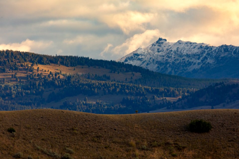 Fresh snow on Monitor Peak near Mammoth Hot Springs