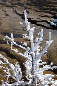 Rime frost at Mound Terrace photo