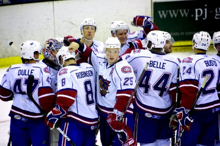 Hamilton Bulldogs Vs Toronto Marlies