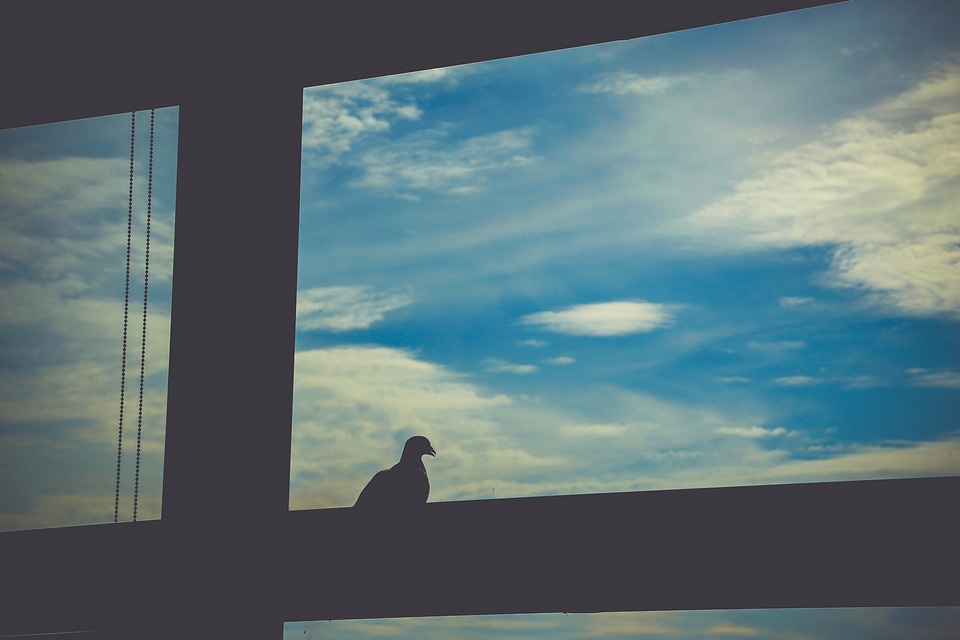 Sky silhouette a beautiful view