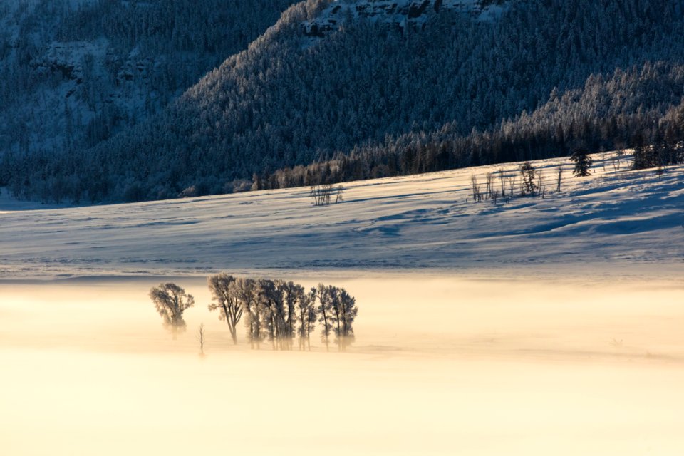 Steam fog fills Lamar Valley on a -15°F morning