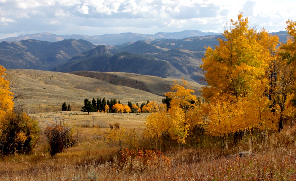 Looking south over Yellowstone from Gallatin National Forest