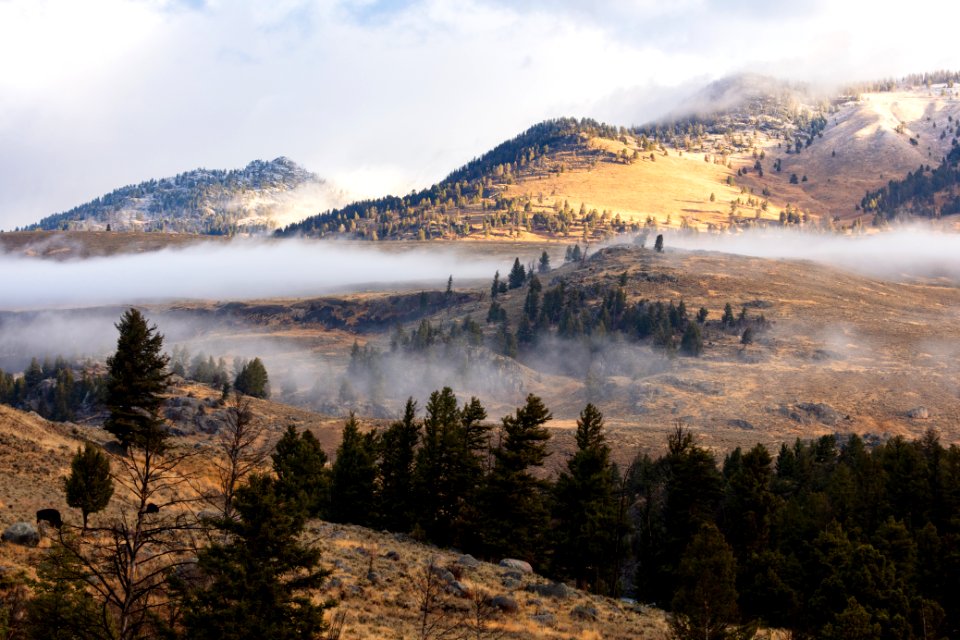 Fall morning views from the Yellowstone River Bridge