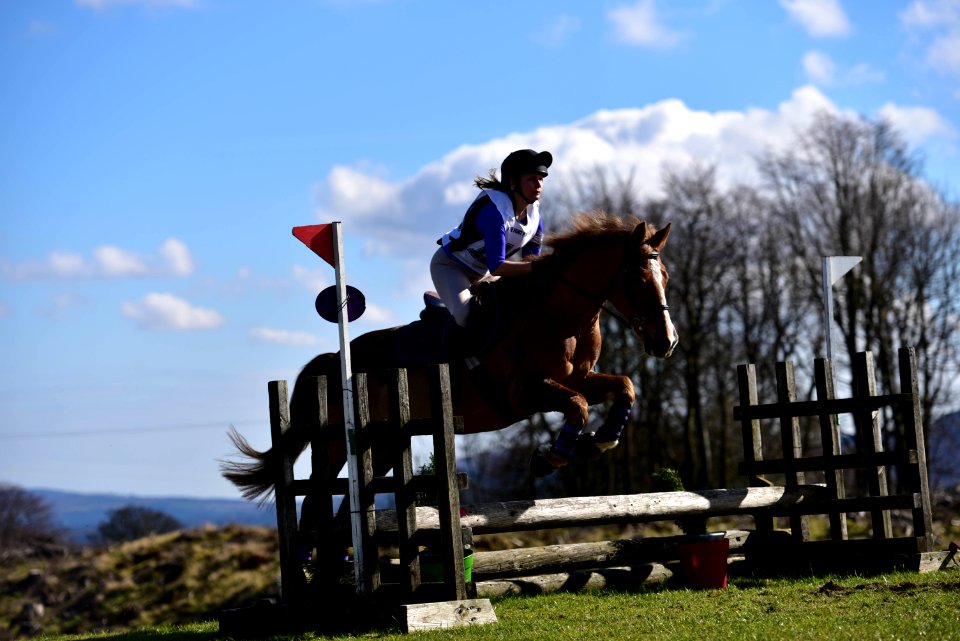 DSC 2804.jpg