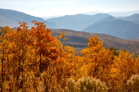 Overlooking the Yellowstone River drainage from Custer Gallatin National Forest