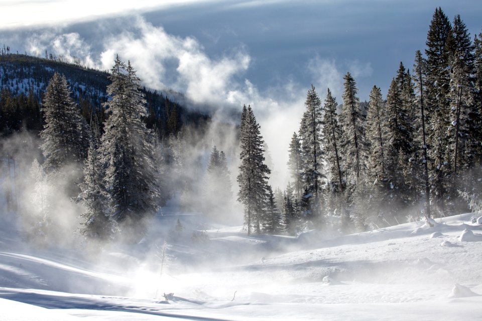 Misty morning along Obsidian Creek