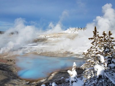 Porcelain Springs at Norris Geyser Basin photo