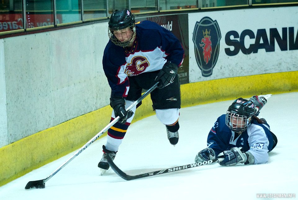 Guildford Lightning Vs Sheffield Shadows