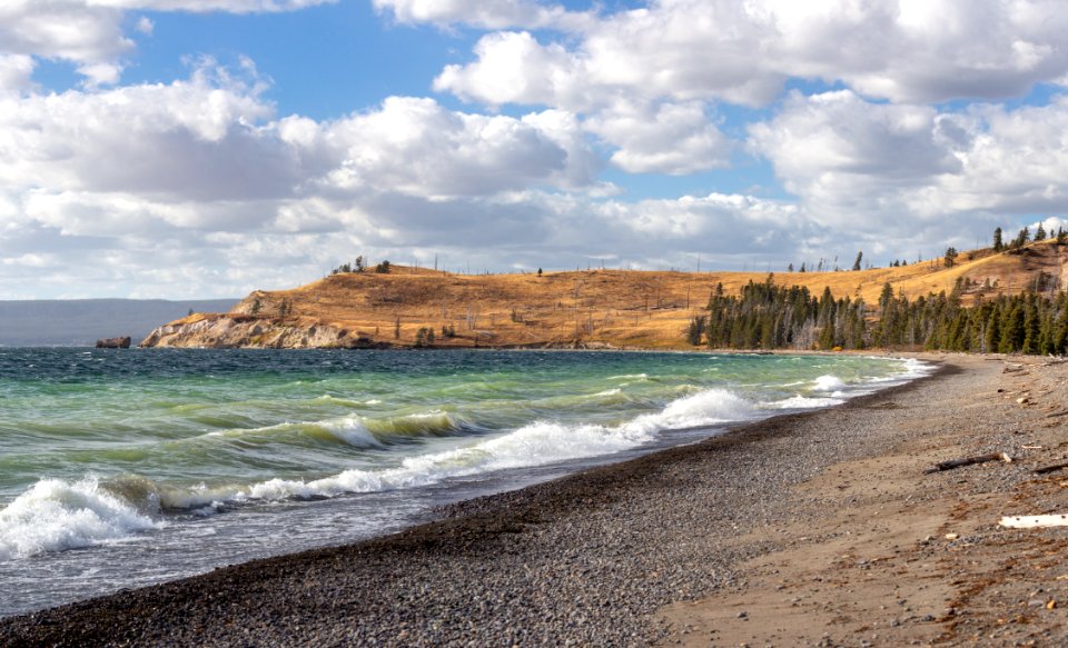 Sedge Bay, Yellowstone Lake