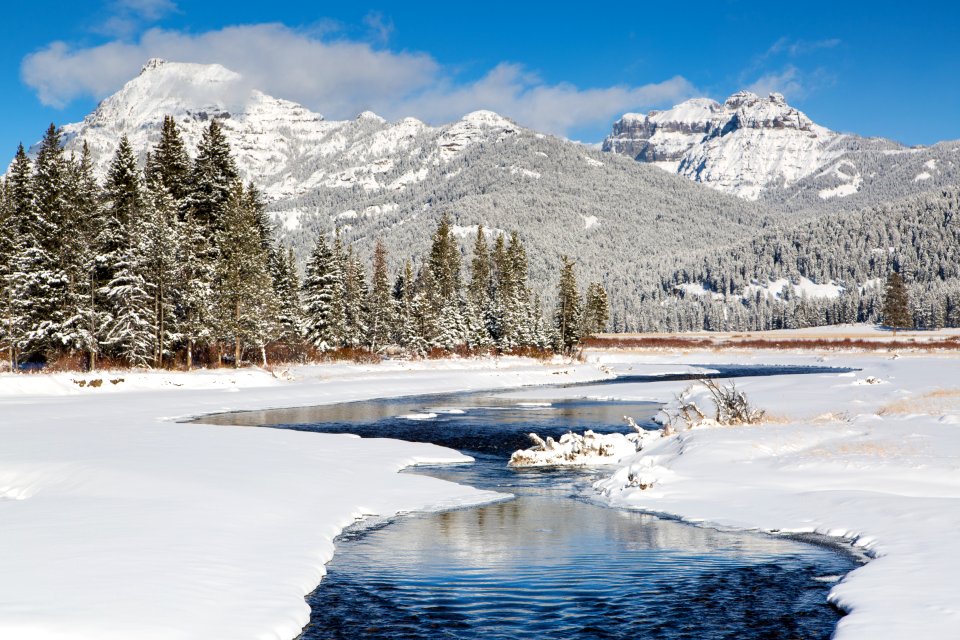 Fresh snow on Soda Butte Creek and the Absarokas