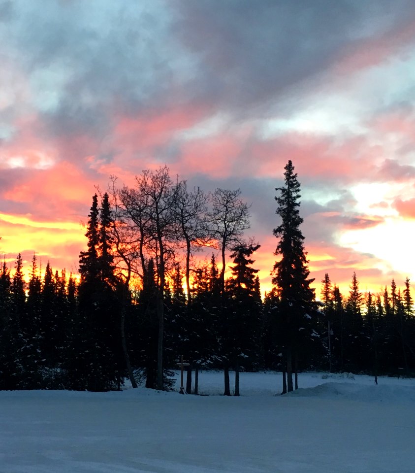 Submitted by Rob Guenther