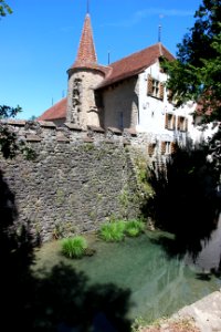 Schloss Hallwyl  IMG 1361