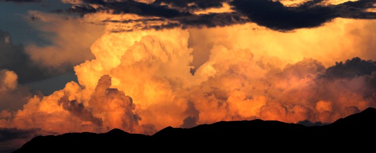 VIEW FROM THE HOUSE - 0248 (8-8-2016) -04