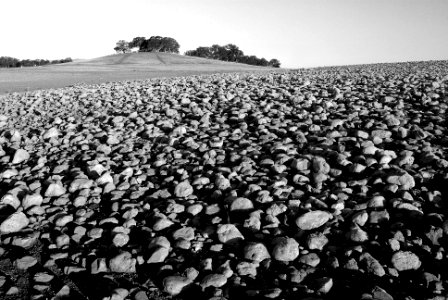 CA - BLACK BUTTE RESERVOIR  (1)