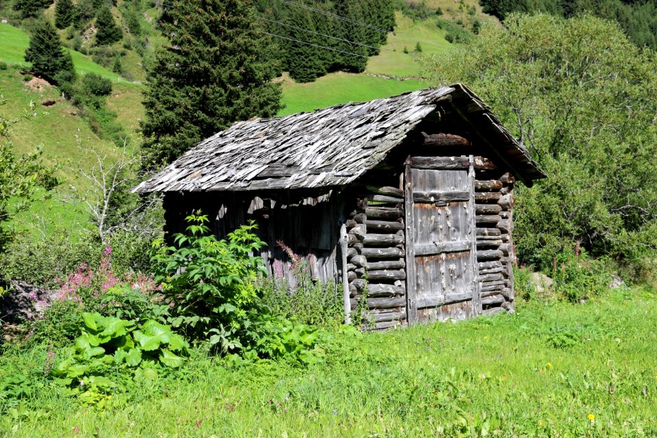 Schopf am Lukmanier  IMG 1619