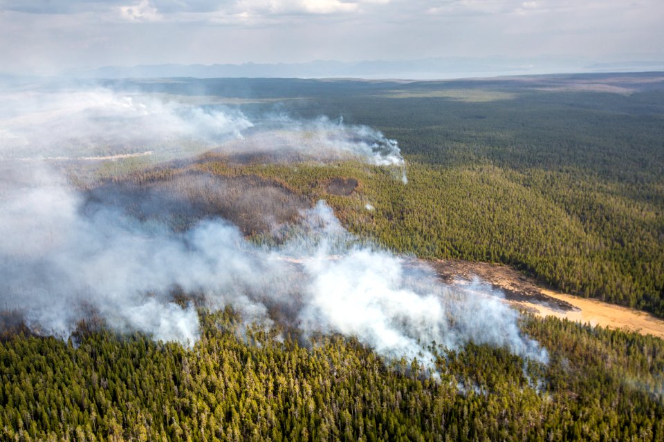 Spruce Fire burn mosaic