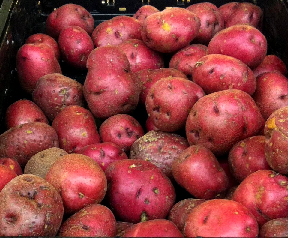 Red Potatoes