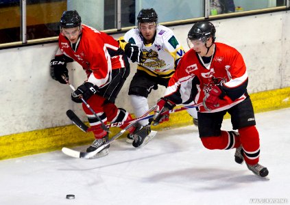 Bracknell Hornets Vs Cardiff Devils ENL