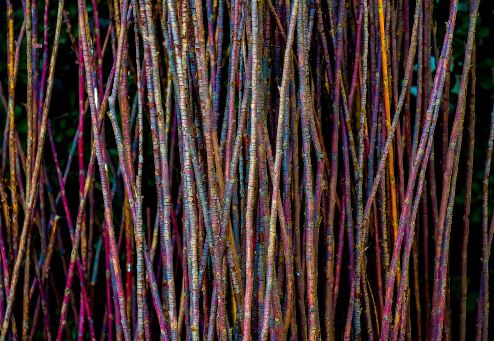 Color wood