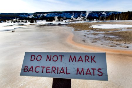"Do not mark bacterial mats" sign in the Upper Geyser Basin