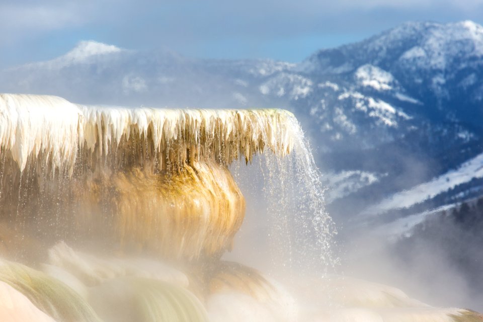 Canary Spring, Mammoth Hot Springs