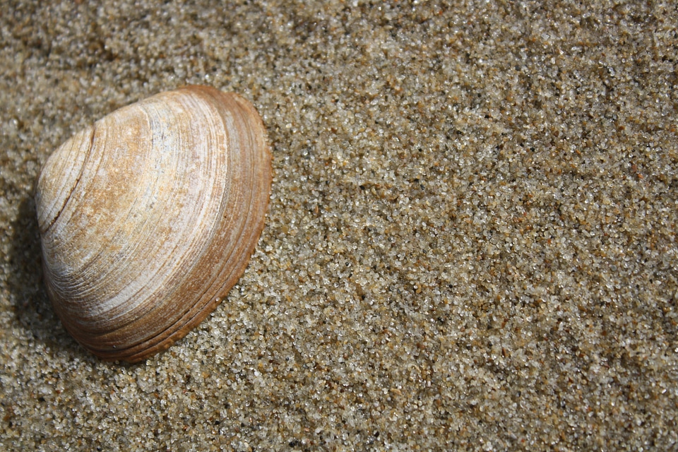 Sand summer beach