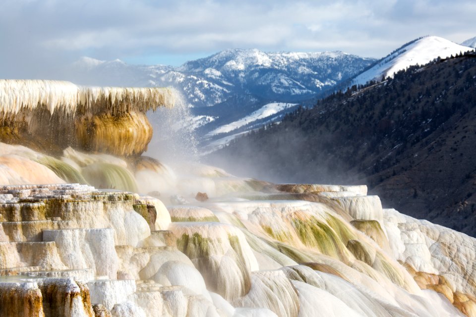 Canary Spring, Mammoth Hot Springs