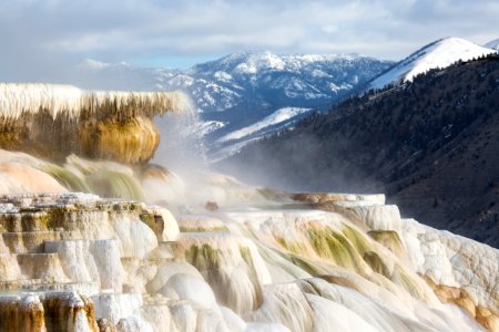 Canary Spring, Mammoth Hot Springs photo