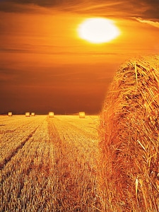 Straw box landscape sunset