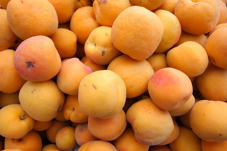 Background food orange fruit