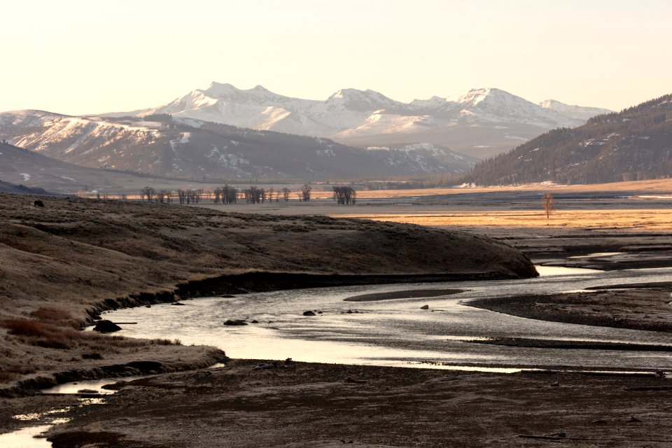 Lamar Valley at sunrise before green up