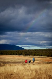 Visitors watching wildlife in Hayden Valley photo