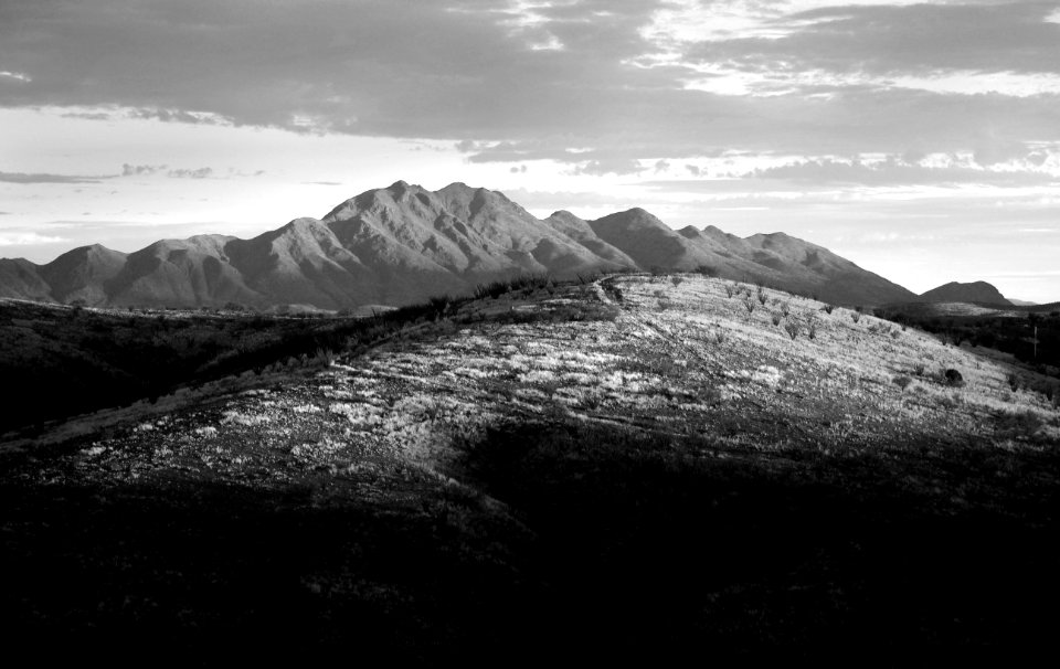 VIEW FROM THE HOUSE - 0258 (7-16-2017) -05c -BWa