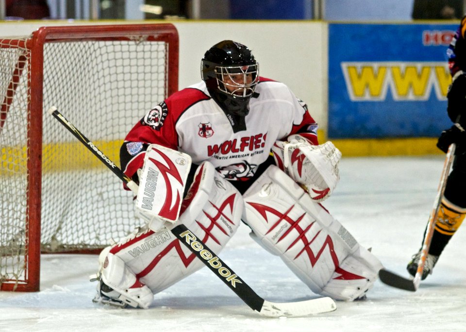 Basingstoke Bison Vs Bracknell Bees