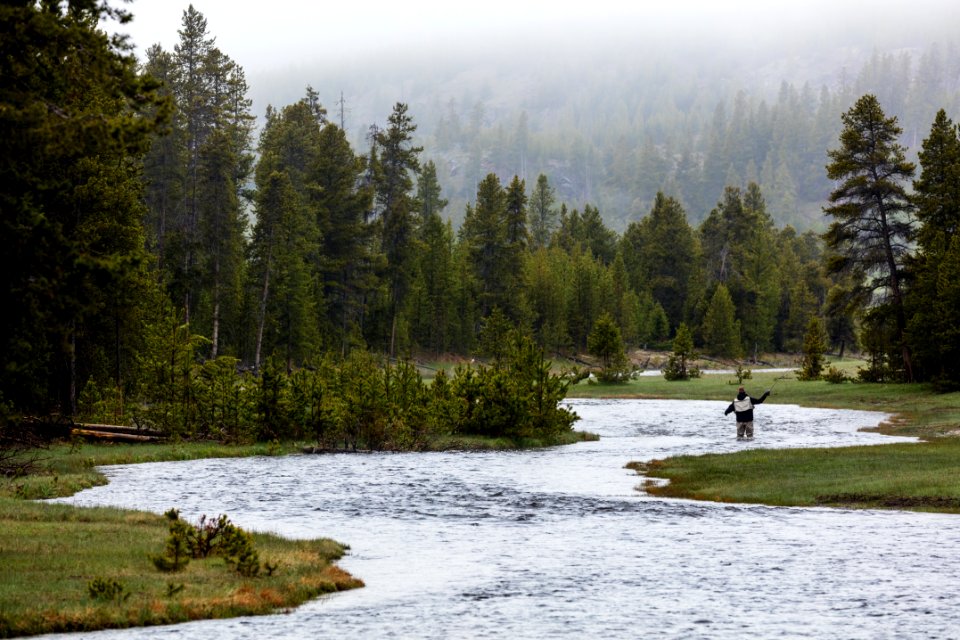 Fly Fishing on Nez Perce Creek