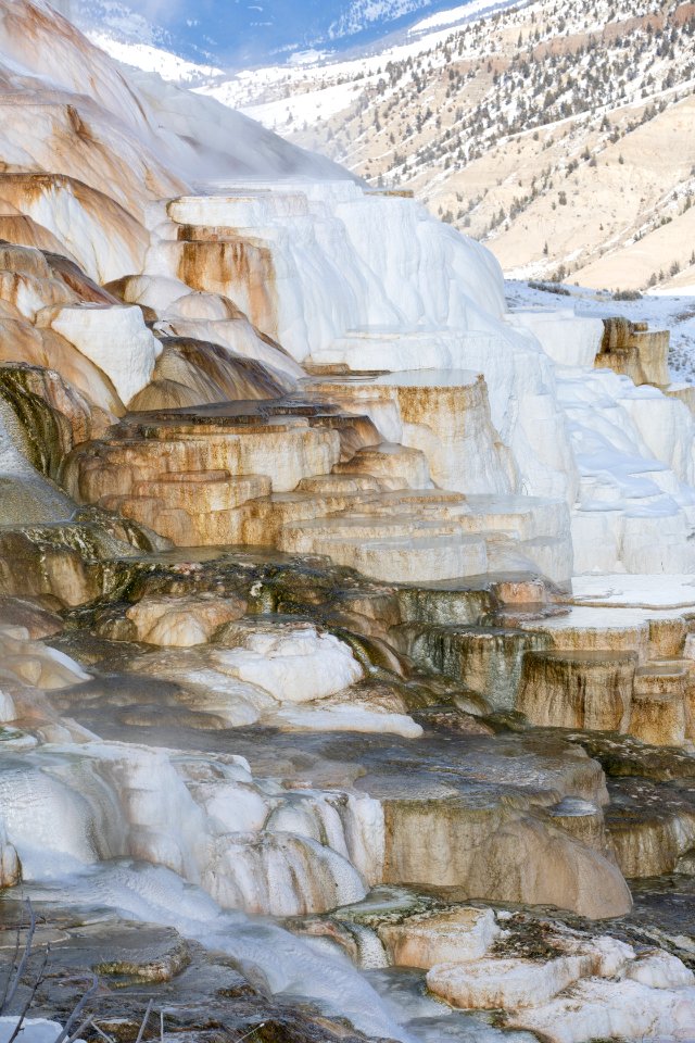 Canary Spring at Mammoth Hot Springs