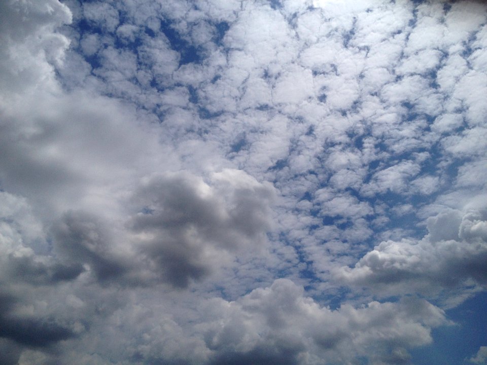 Submitted by Cindy Krueger