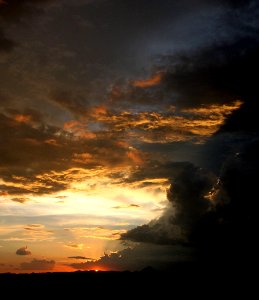 VIEW FROM THE HOUSE - 0243 (8-7-15) (2)