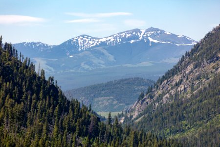 View of Mt. Washburn from the Hellroaring Creek Trail in the Absaroka Beartooth WIlderness photo