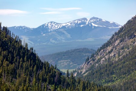 View of Mt. Washburn from the Hellroaring Creek Trail in the Absaroka Beartooth WIlderness